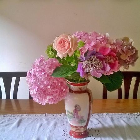 페루자 Da Claudia B&B 외부 사진